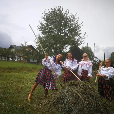 Farm stay Maramures Landscape *