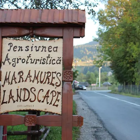 Alloggio per agriturismo Maramures Landscape *